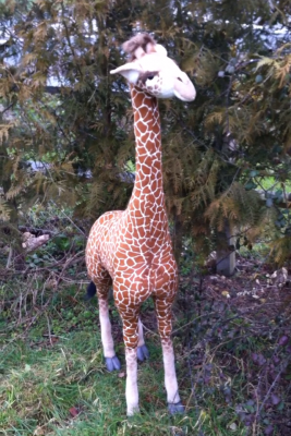 Girafe 170 cm